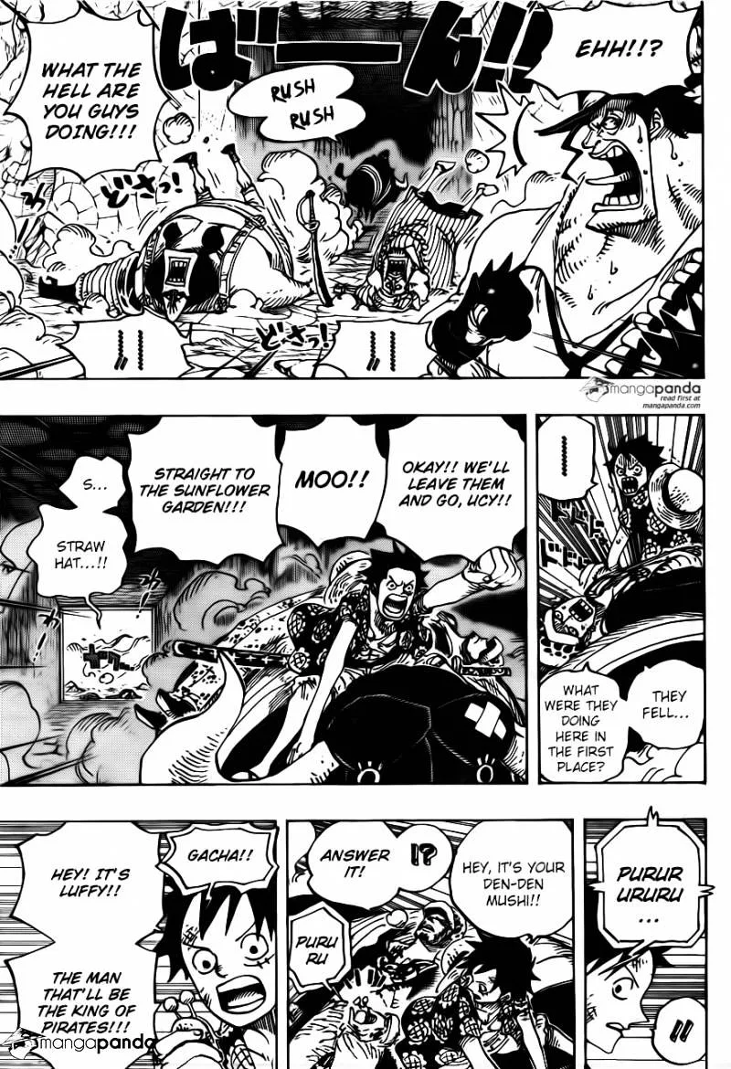 One Piece Chapter 751 page 14