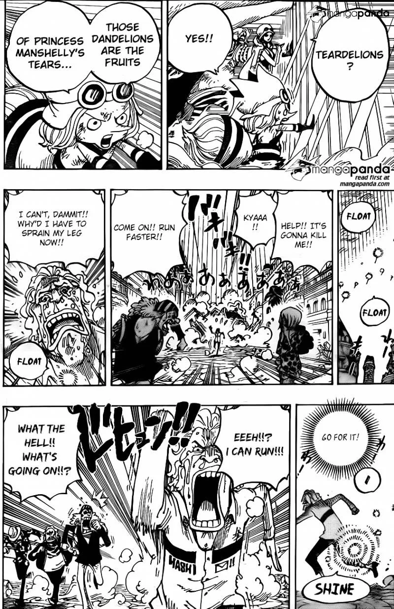 One Piece Chapter 788 page 6