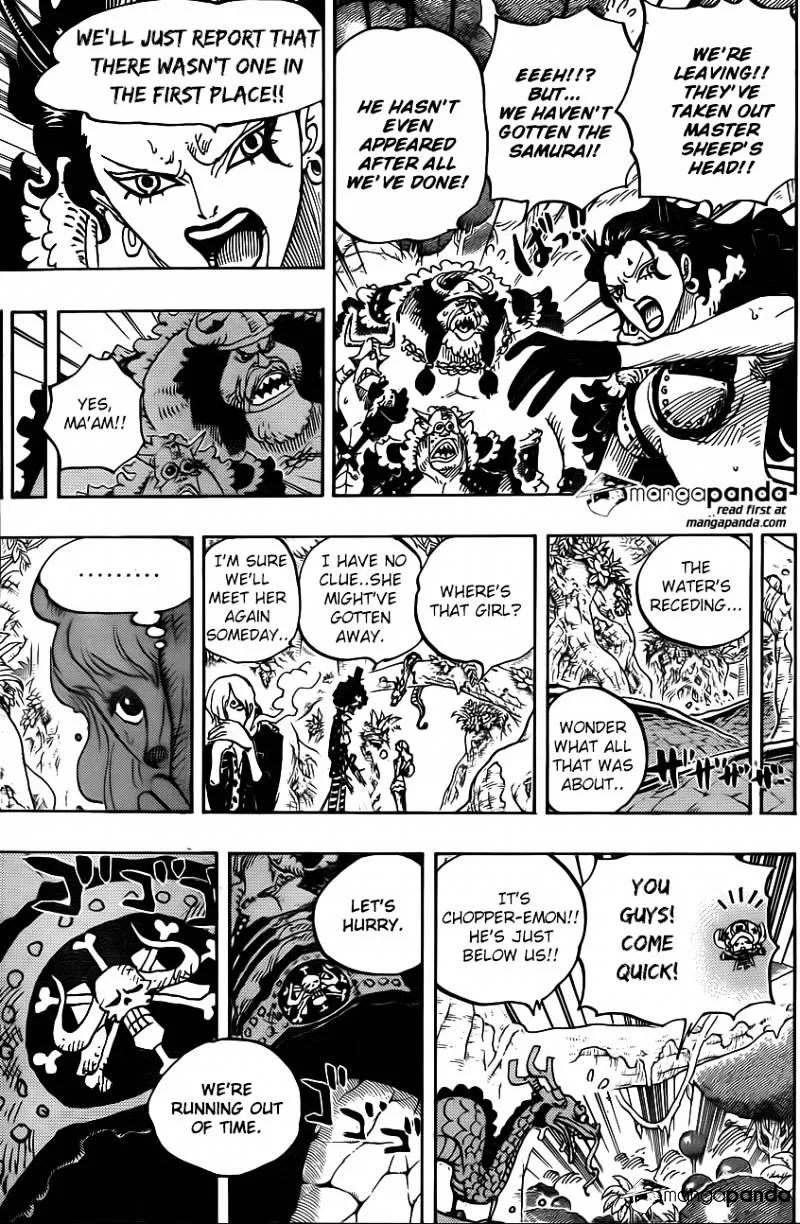 One Piece Chapter 795 page 9