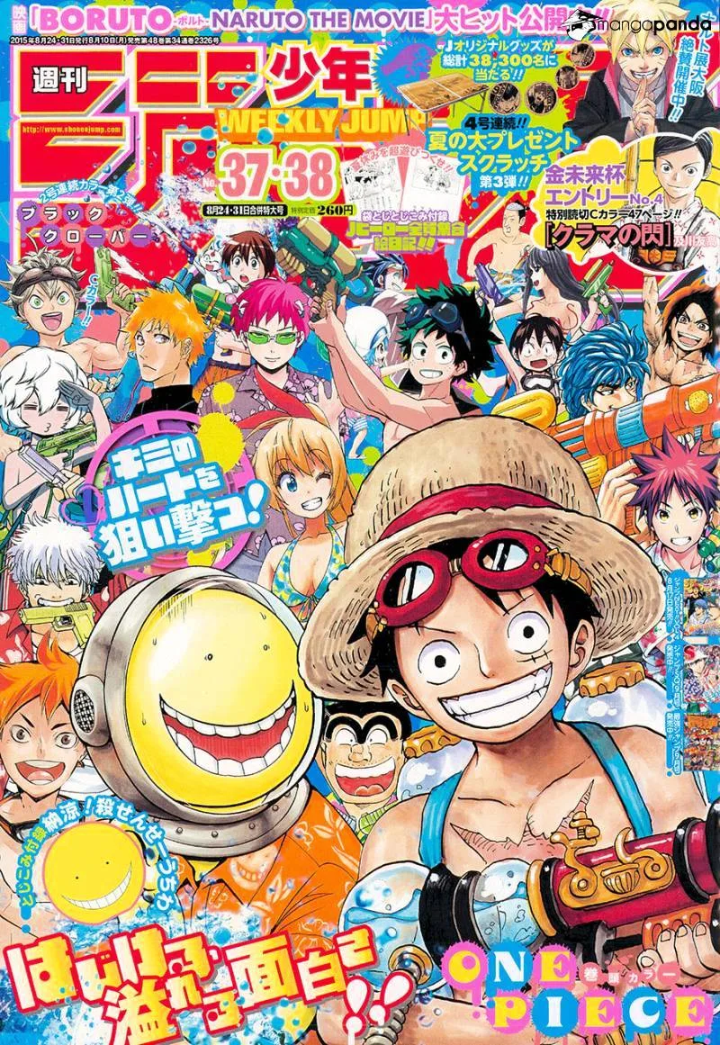 One Piece Chapter 796 page 1