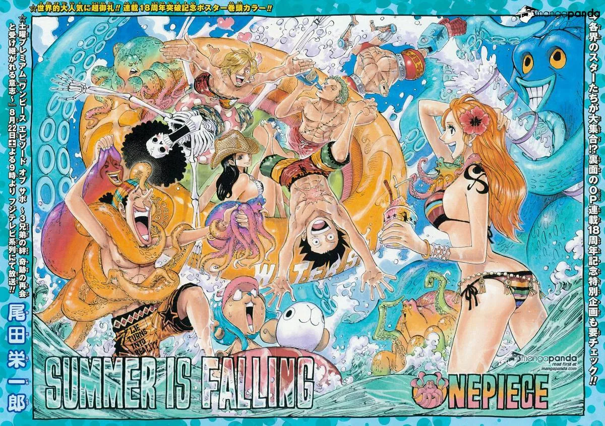 One Piece Chapter 796 page 2