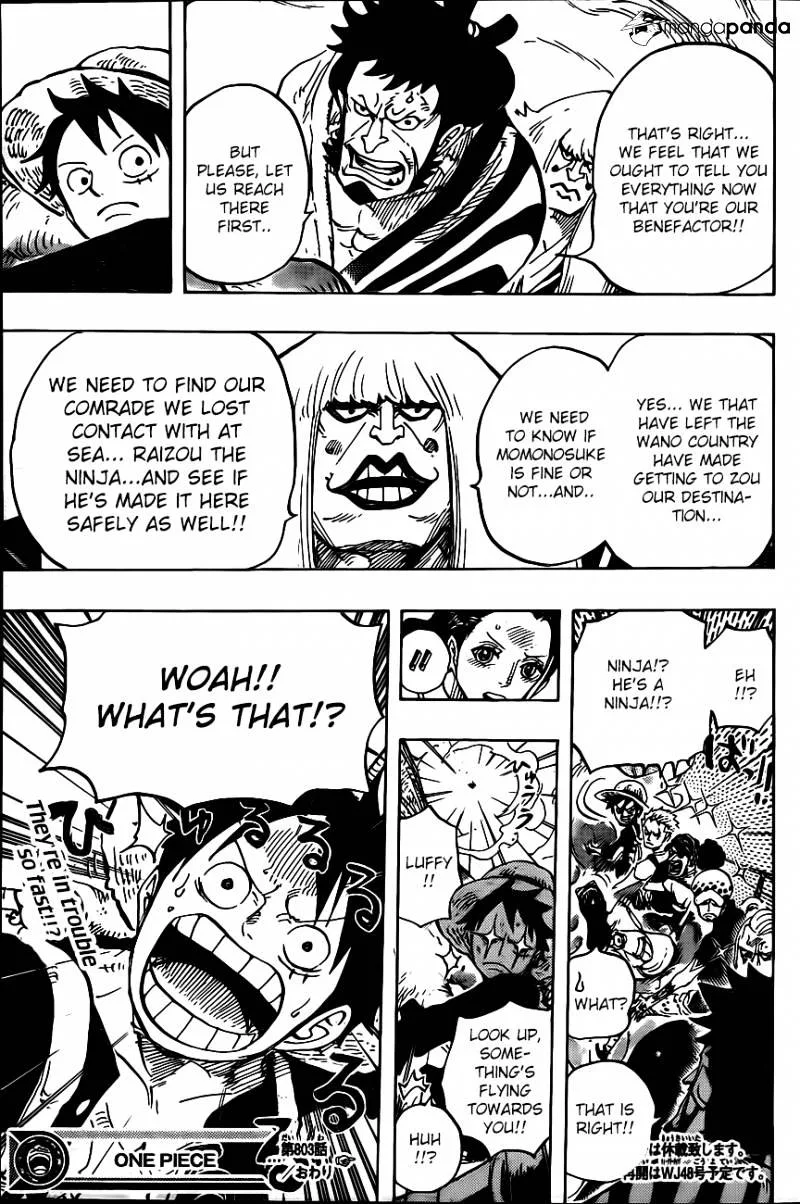 One Piece Chapter 803 page 13