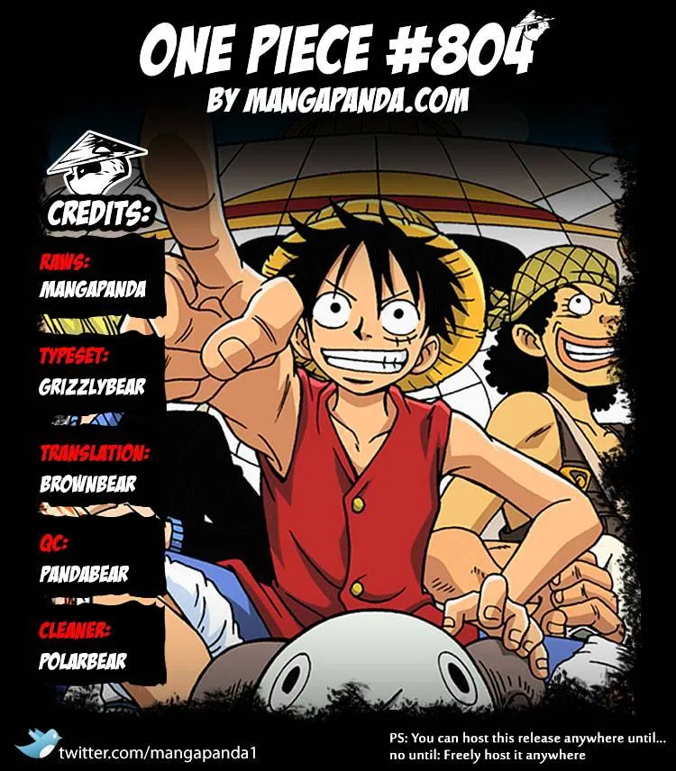 One Piece Chapter 804 page 17
