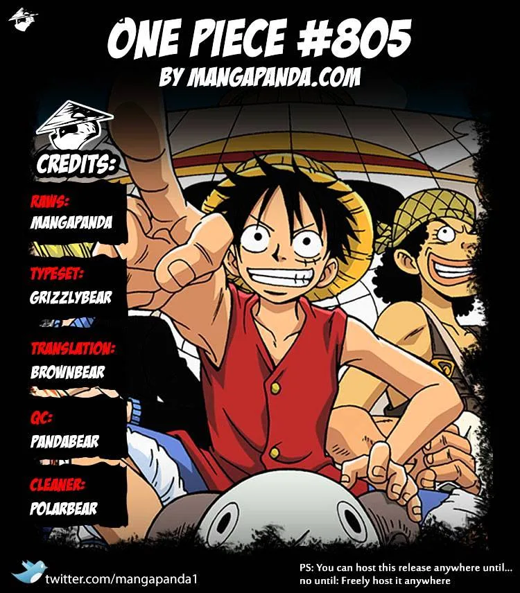 One Piece Chapter 805 page 17