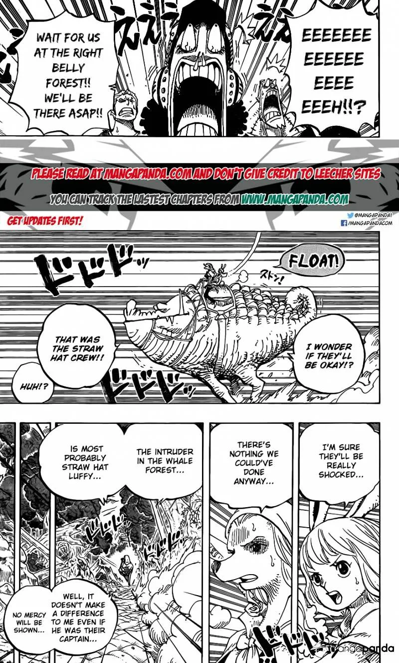 One Piece Chapter 805 page 5