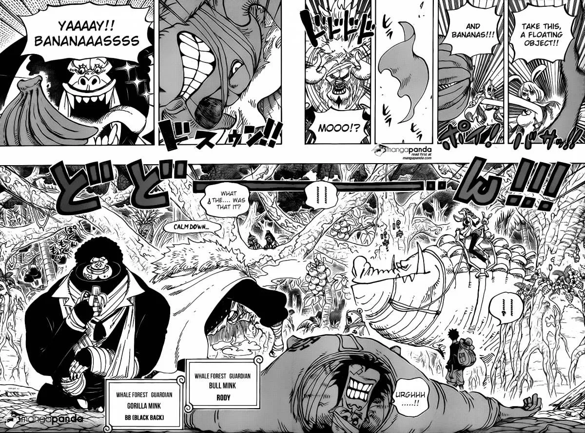 One Piece Chapter 805 page 10