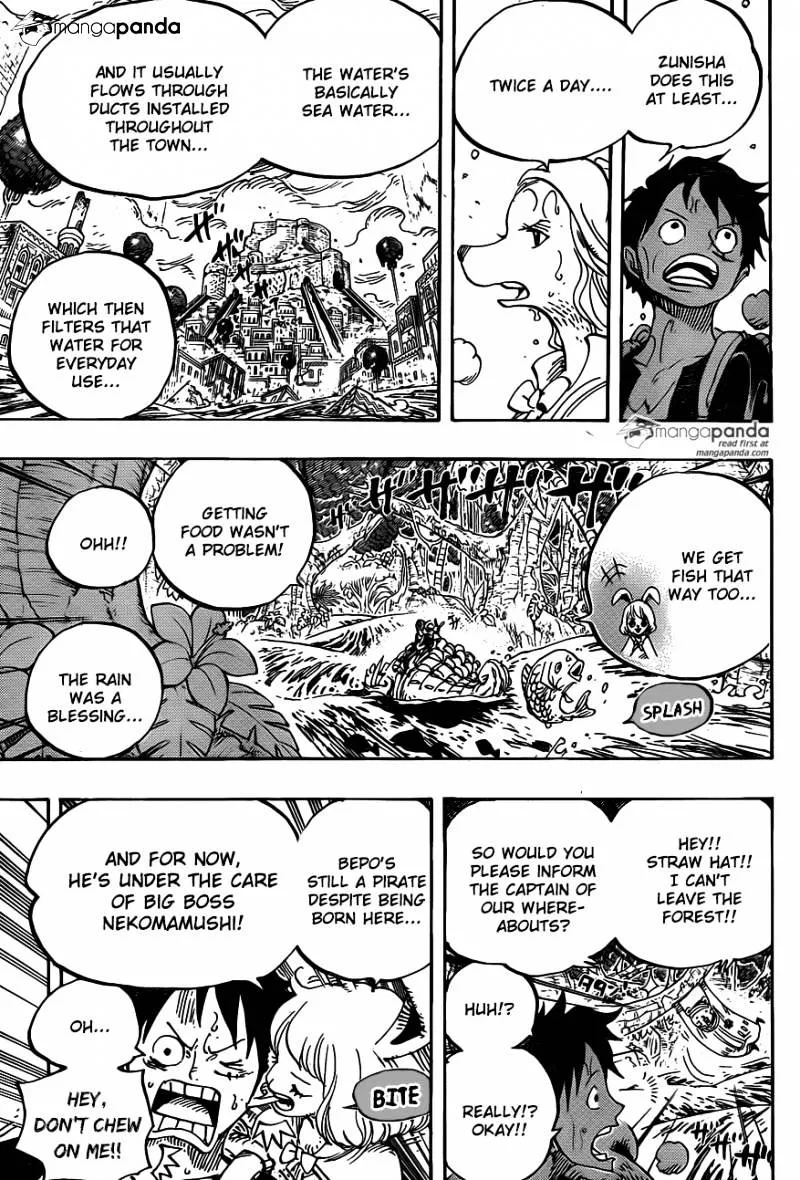 One Piece Chapter 806 page 5