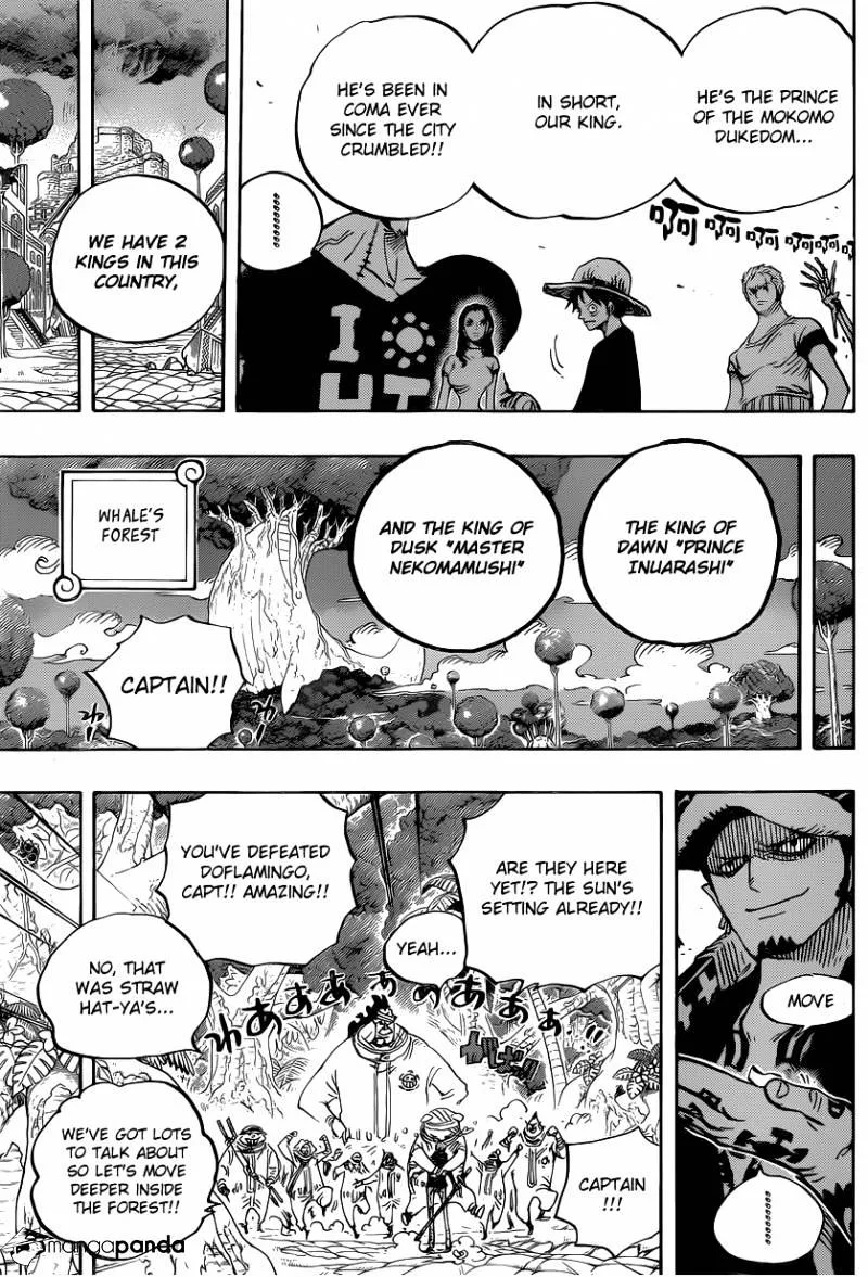 One Piece Chapter 807 page 14