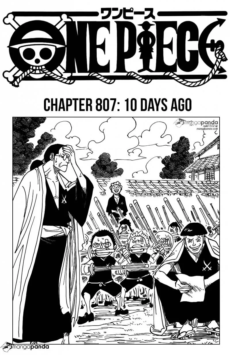 One Piece Chapter 807 page 1