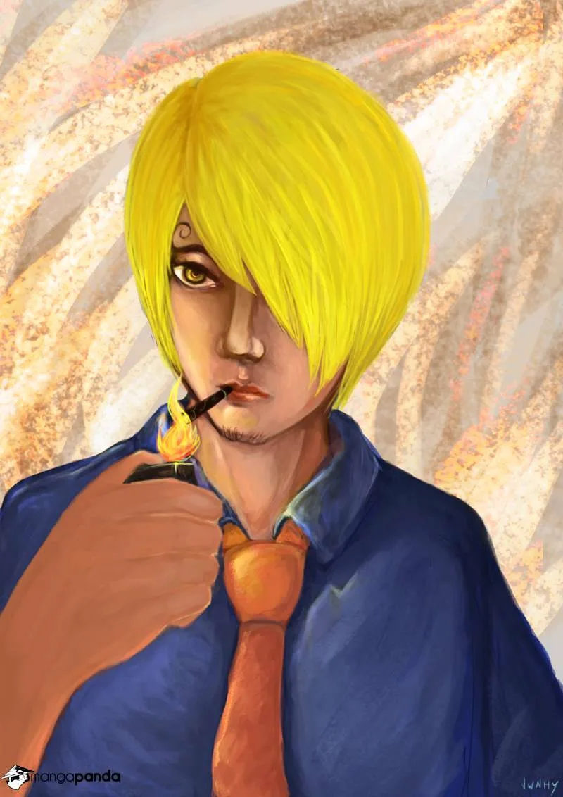 One Piece Chapter 808 page 19