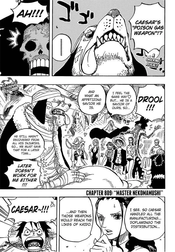 One Piece Chapter 809 page 5