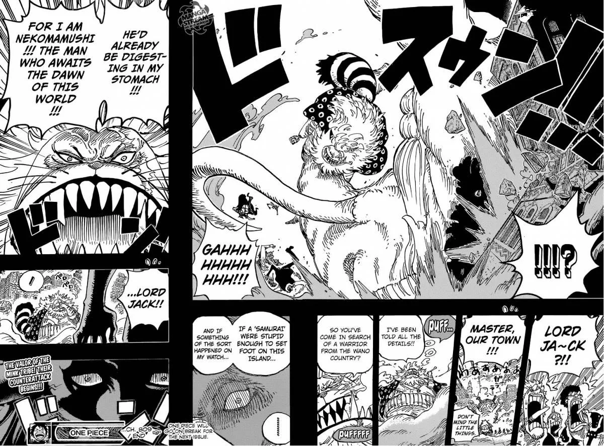One Piece Chapter 809 page 18