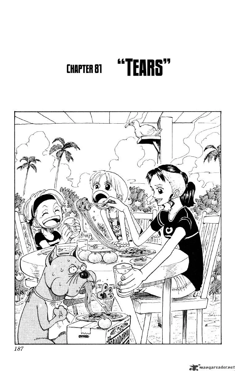 One Piece Chapter 81 page 1