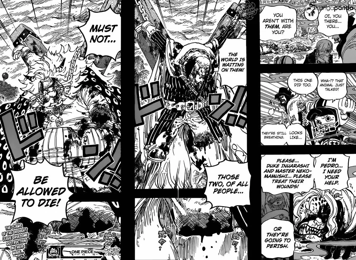 One Piece Chapter 810 page 19