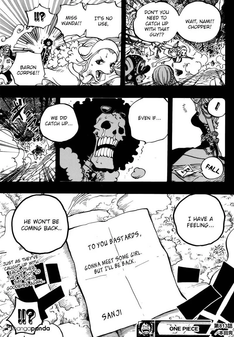 One Piece Chapter 813 page 17