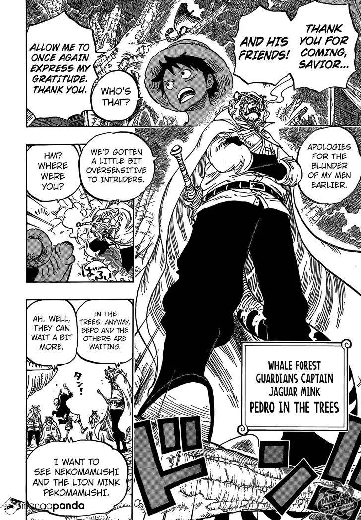 One Piece Chapter 814 page 13