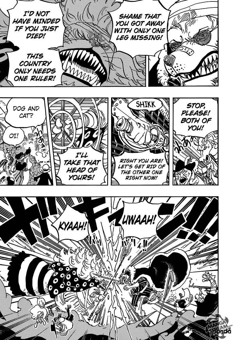 One Piece Chapter 816 page 13