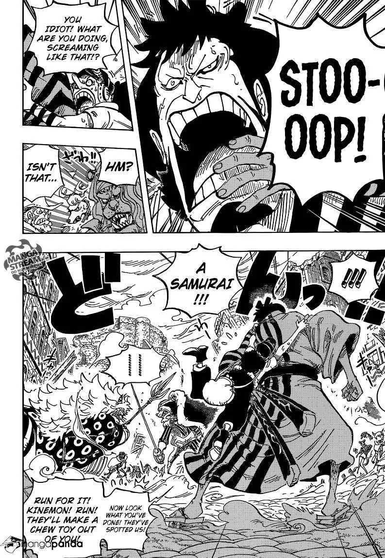 One Piece Chapter 816 page 14