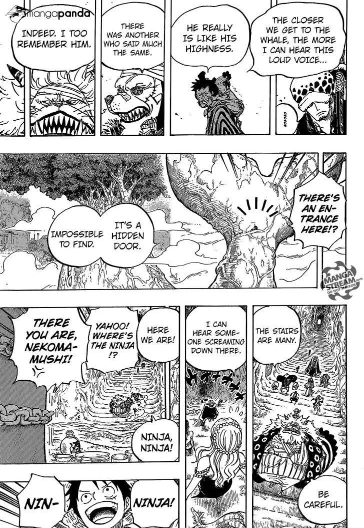 One Piece Chapter 817 page 13
