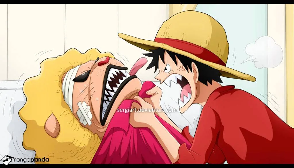 One Piece Chapter 818 page 3
