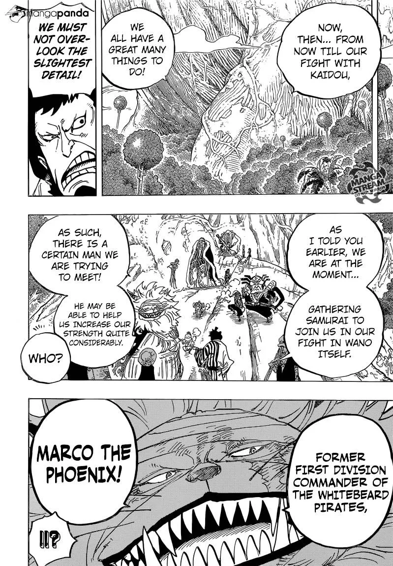 One Piece Chapter 820 page 12