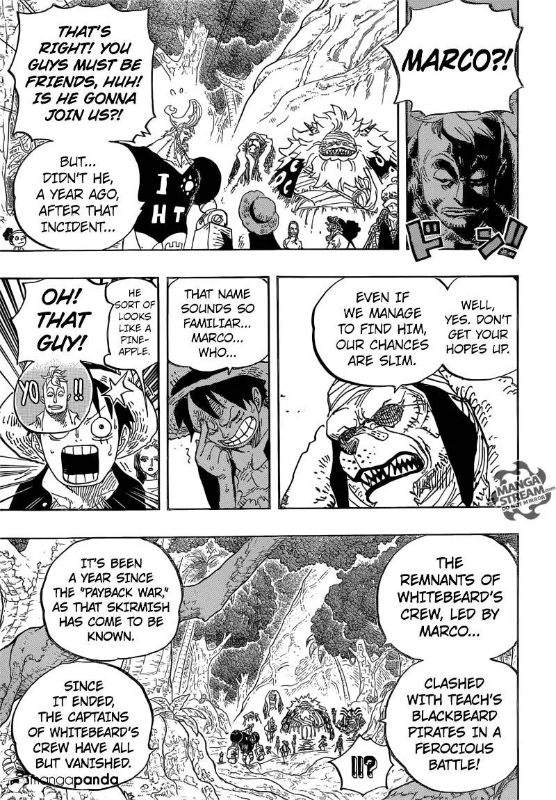 One Piece Chapter 820 page 13