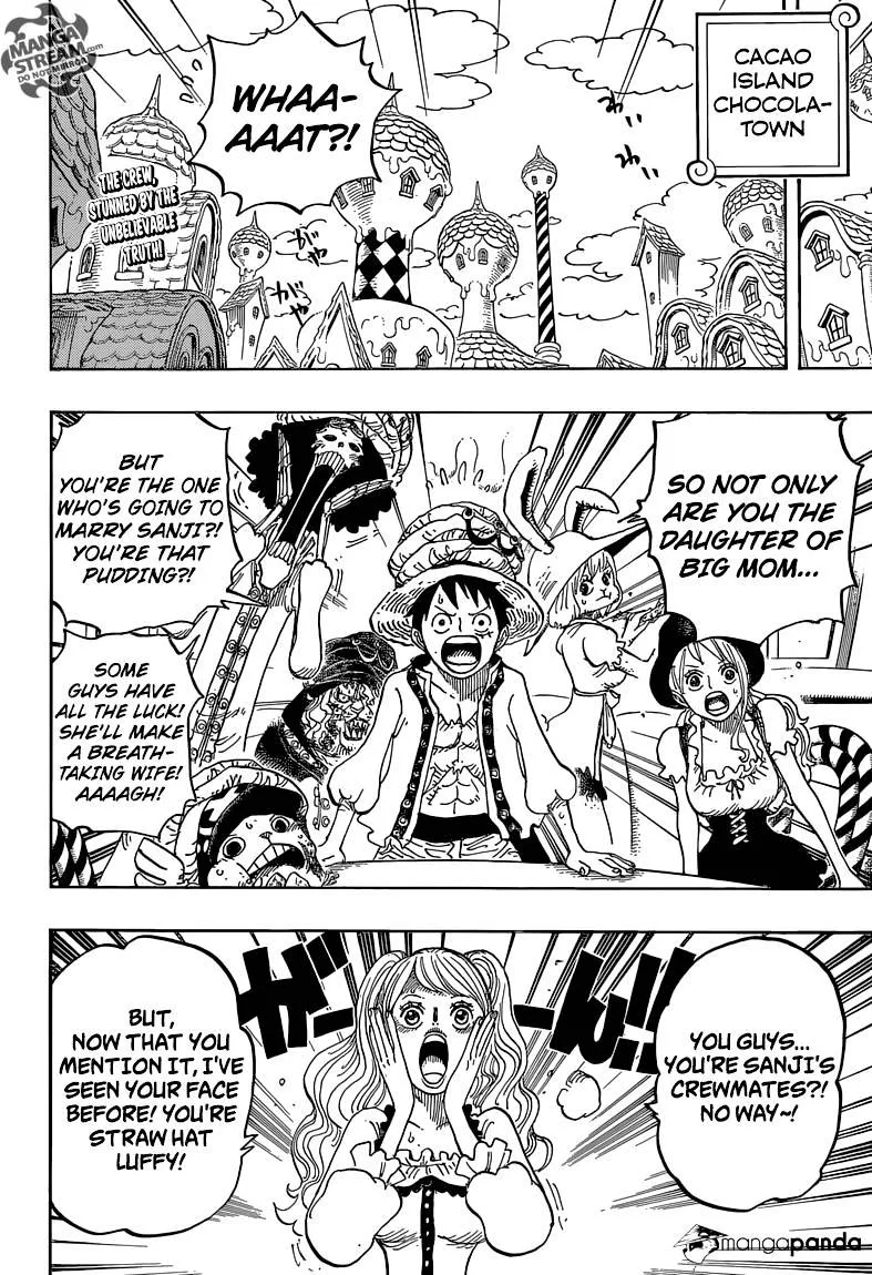 One Piece Chapter 828 page 4