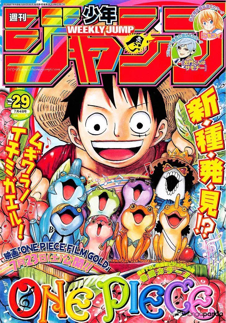 One Piece Chapter 829 page 1