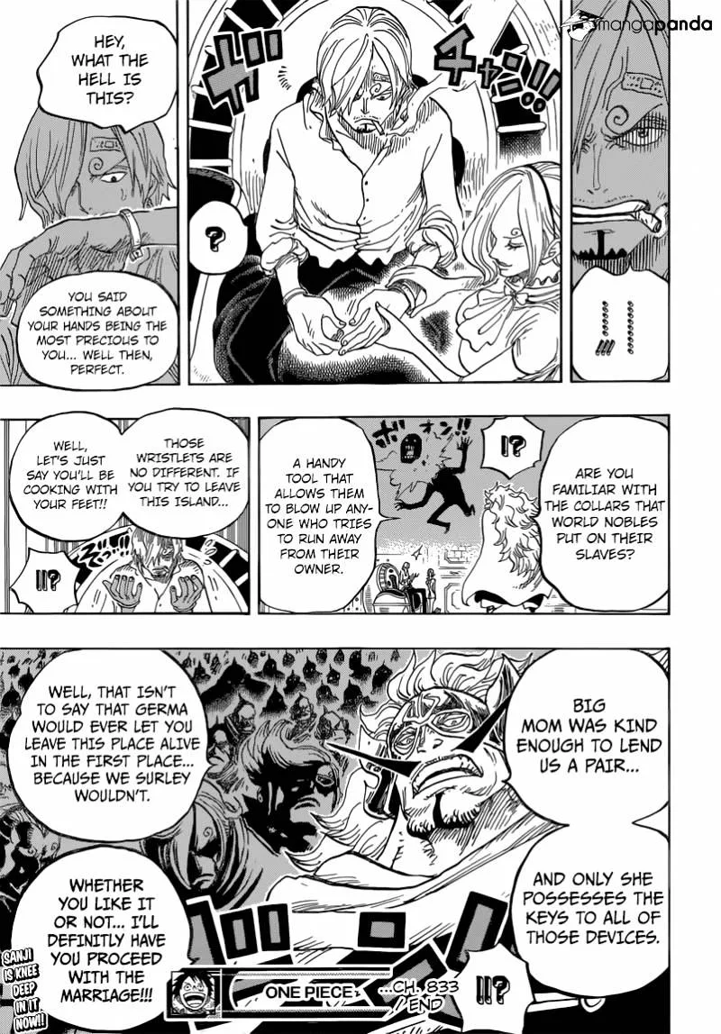 One Piece Chapter 833 page 22