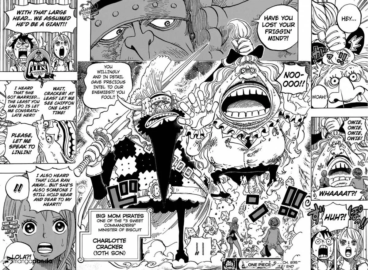 One Piece Chapter 835 page 20