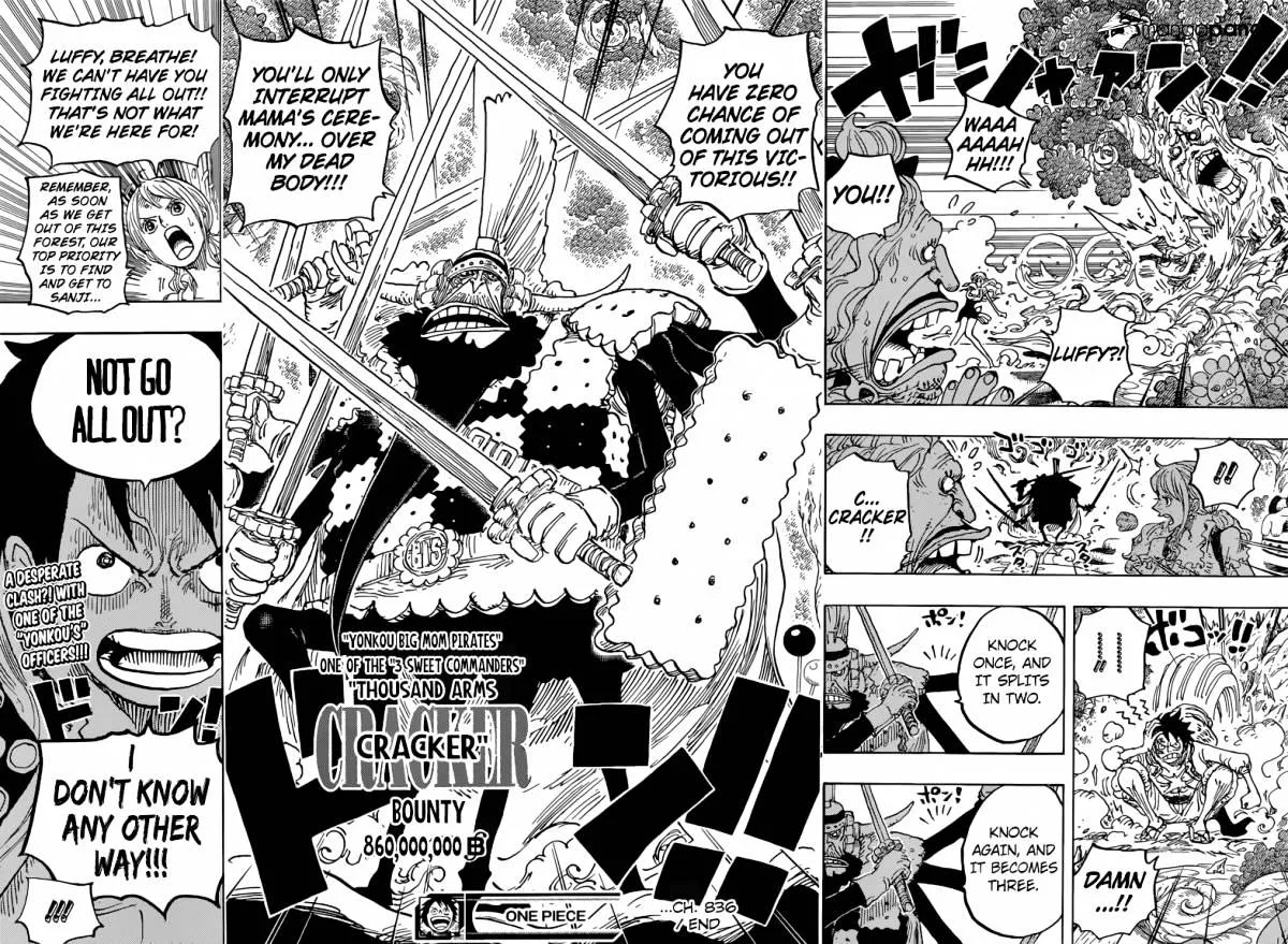 One Piece Chapter 836 page 14