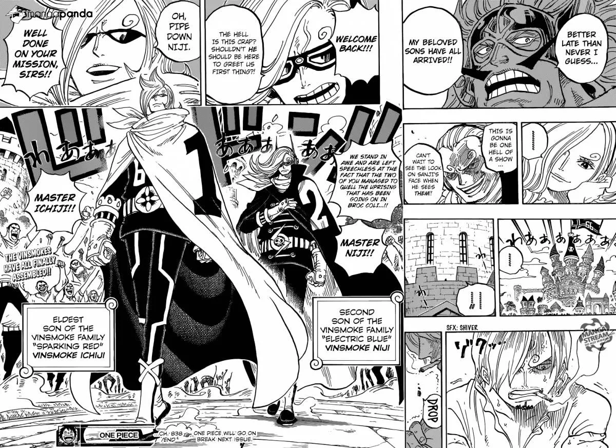 One Piece Chapter 838 page 14