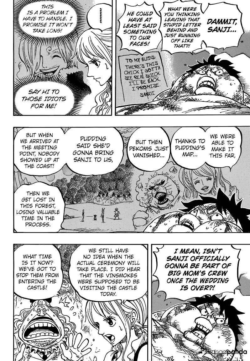 One Piece Chapter 843 page 10