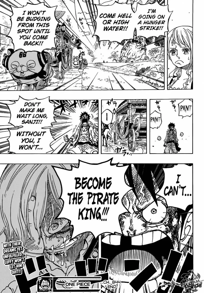 One Piece Chapter 844 page 19