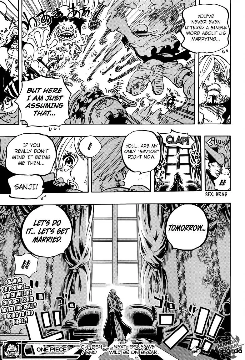 One Piece Chapter 845 page 17
