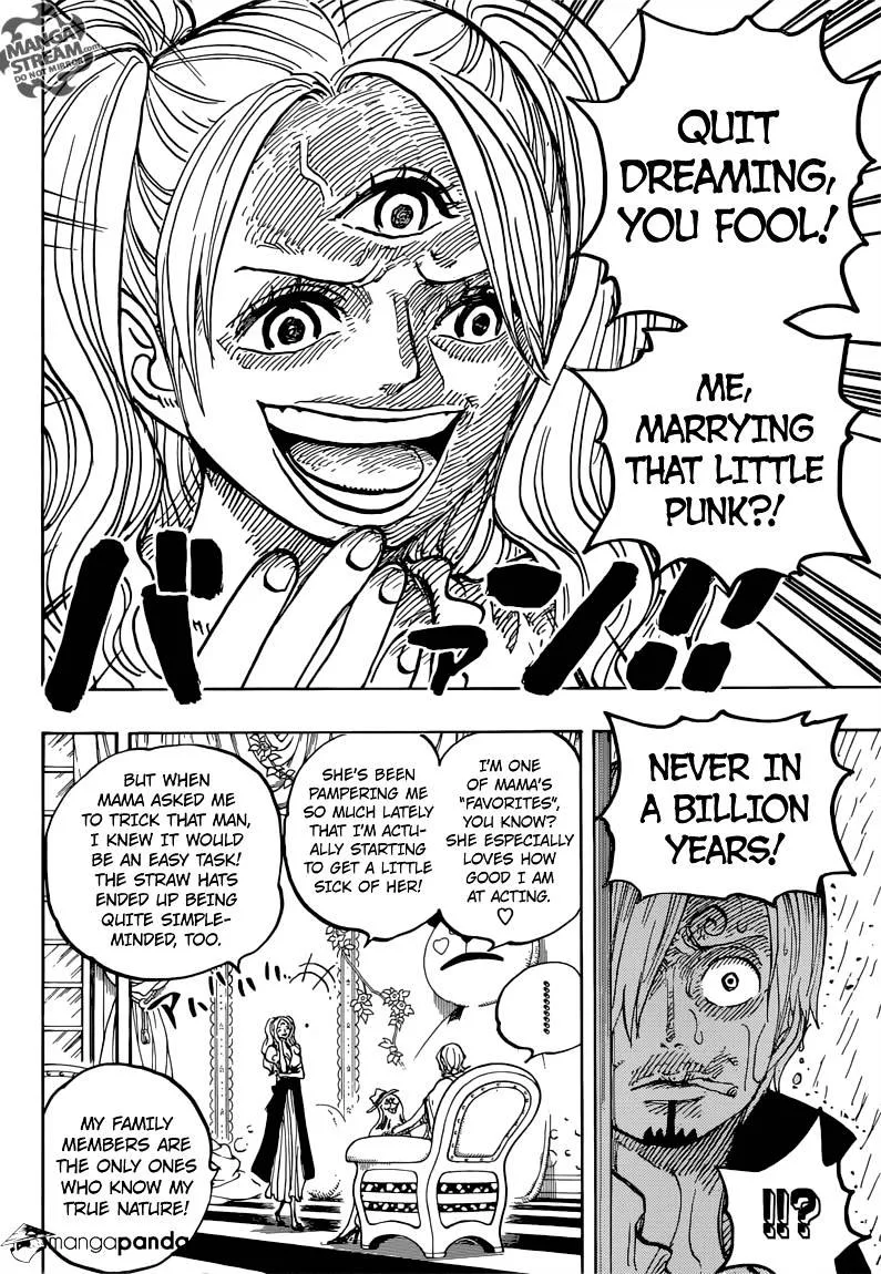 One Piece Chapter 850 page 15