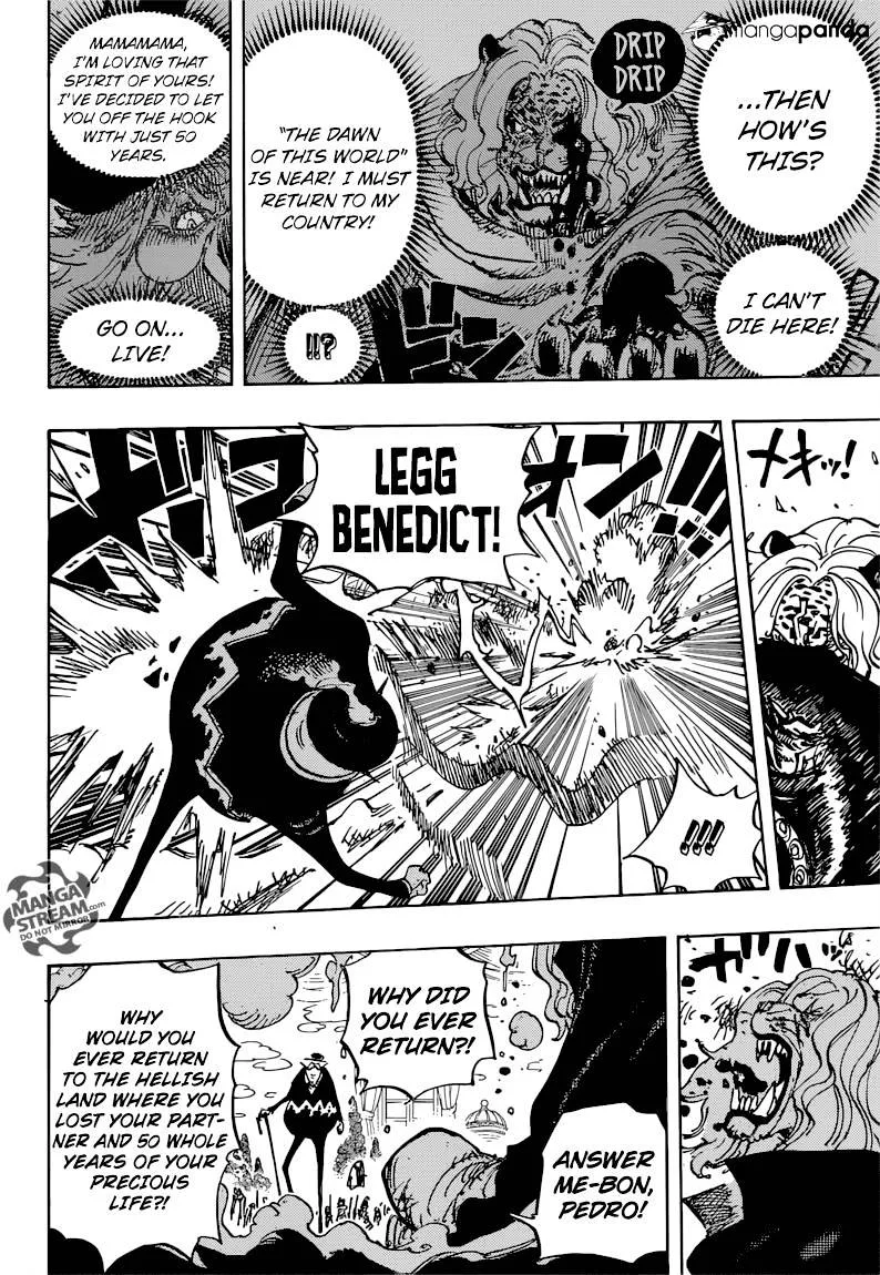 One Piece Chapter 850 page 11