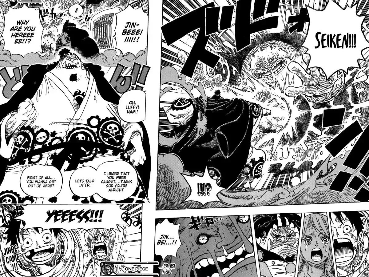 One Piece Chapter 851.3 page 19