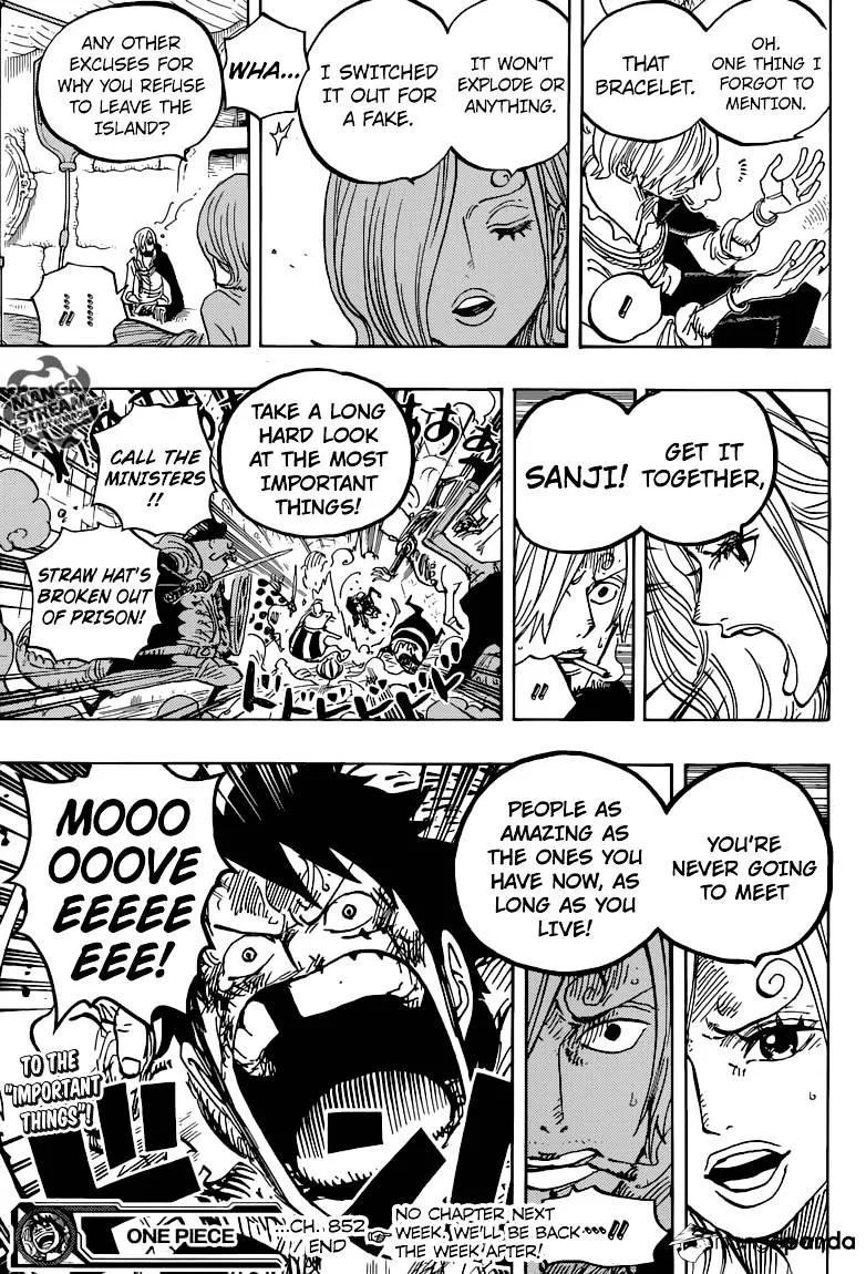One Piece Chapter 852 page 17