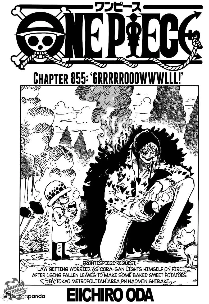 One Piece Chapter 855 page 1