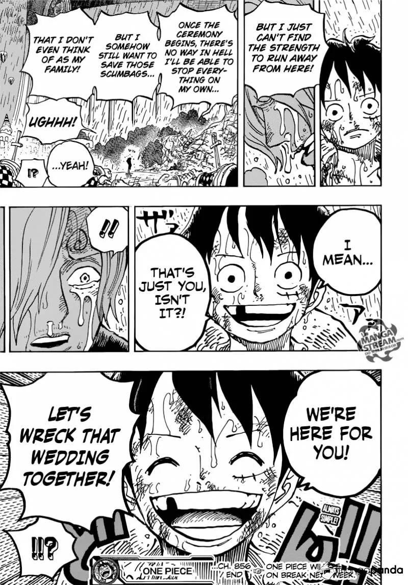 One Piece Chapter 856 page 17