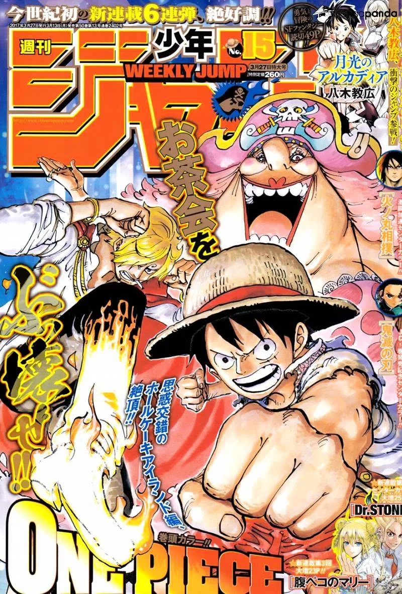 One Piece Chapter 858 page 1