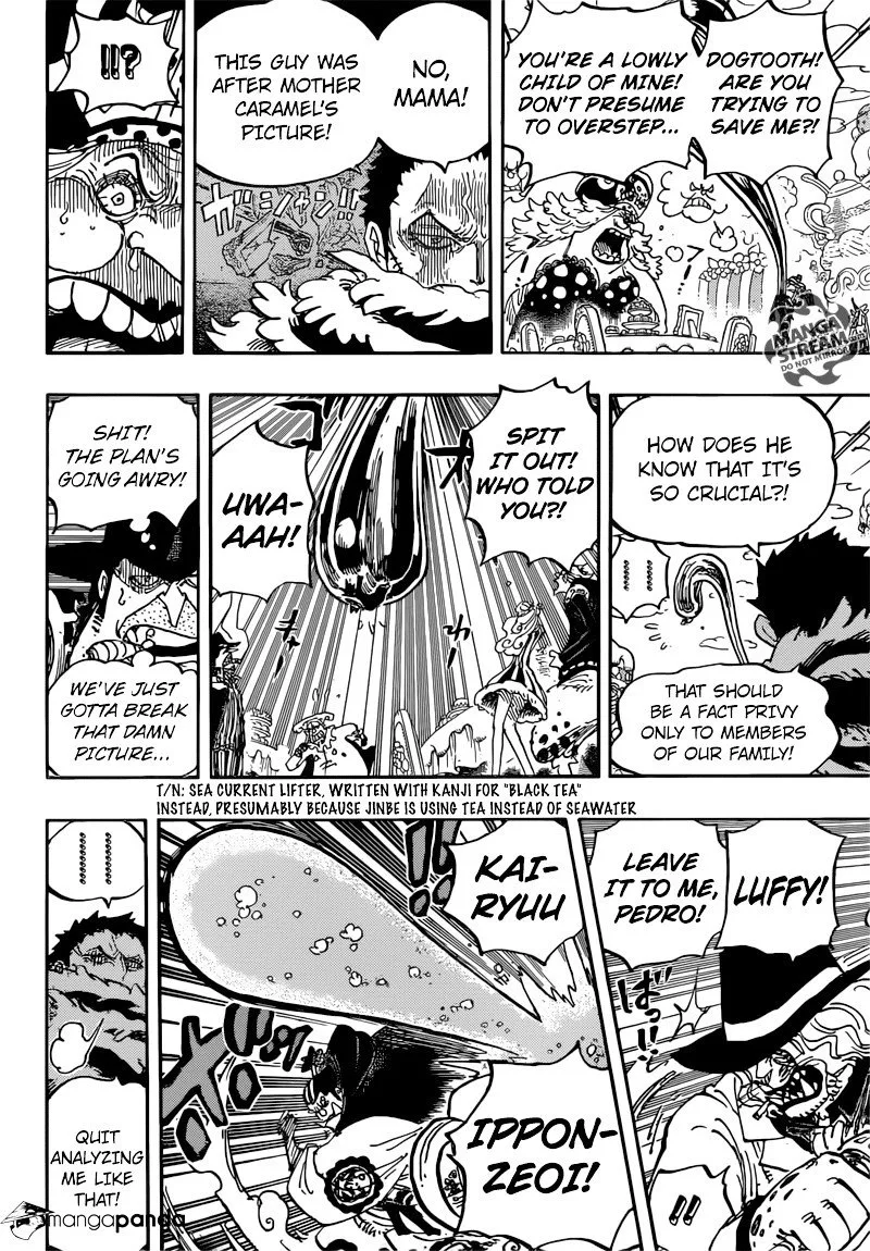 One Piece Chapter 863 page 15