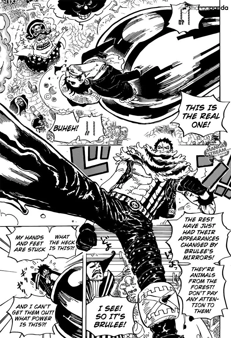 One Piece Chapter 863 page 14