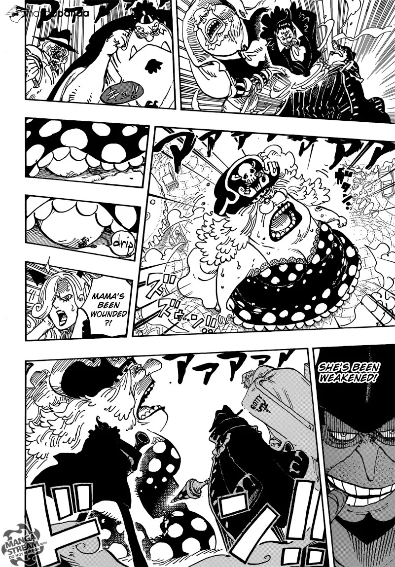 One Piece Chapter 865 page 13