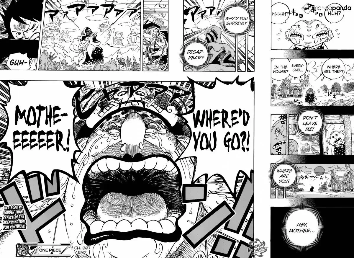 One Piece Chapter 866.99 page 15