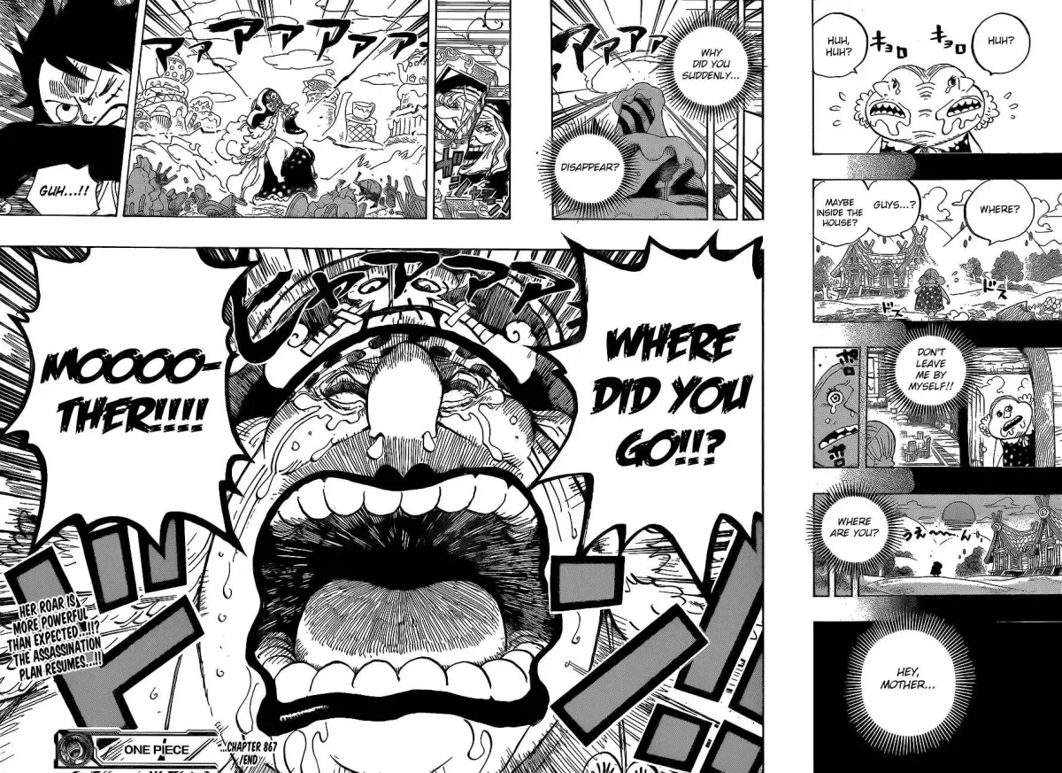 One Piece Chapter 867.1 page 15