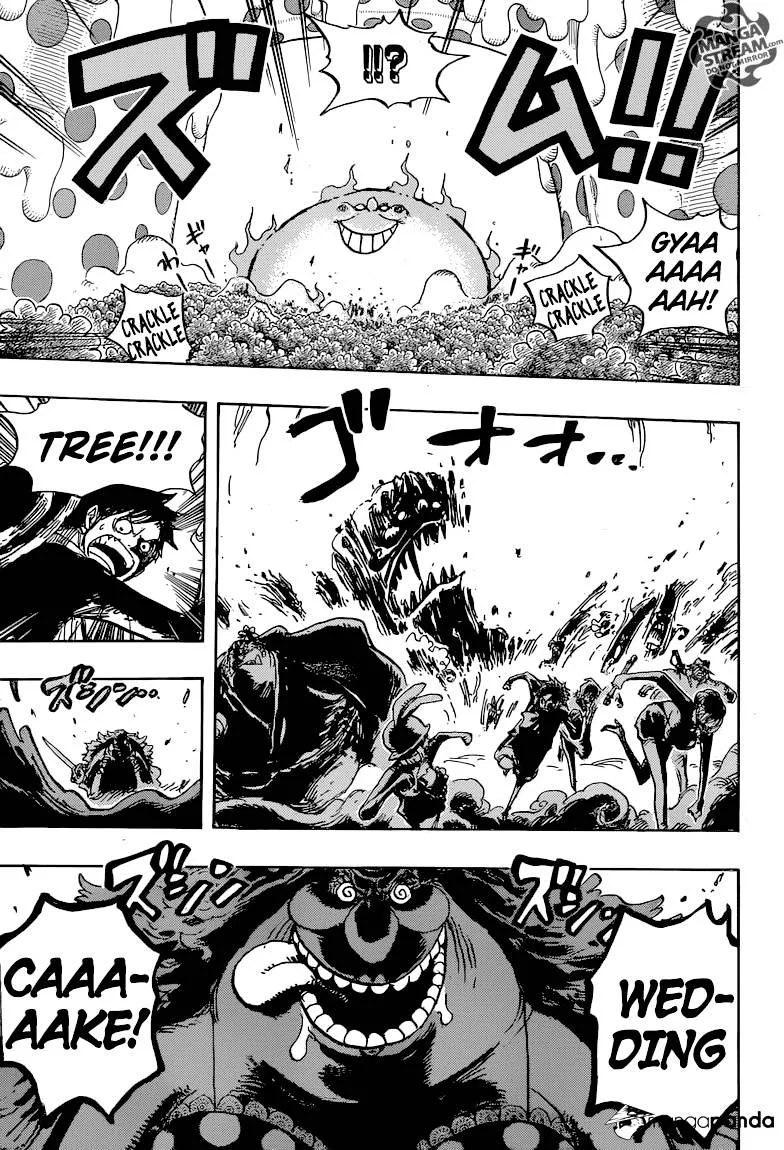 One Piece Chapter 874 page 15