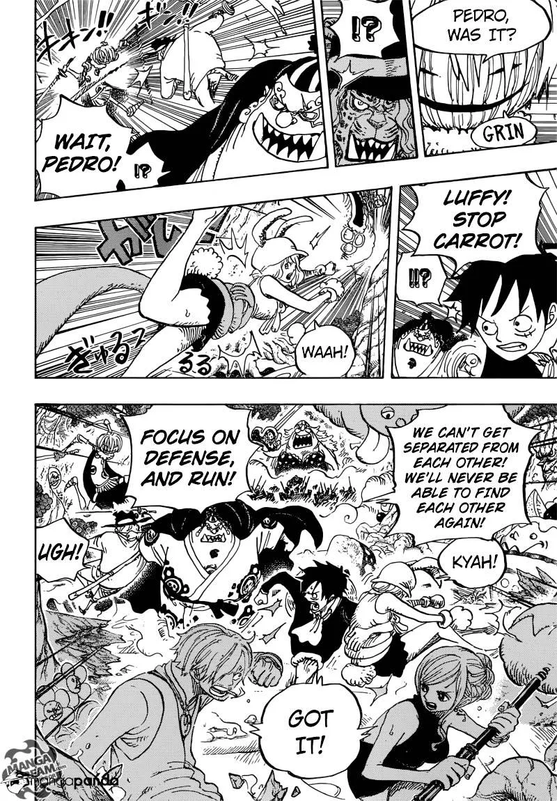 One Piece Chapter 875 page 12