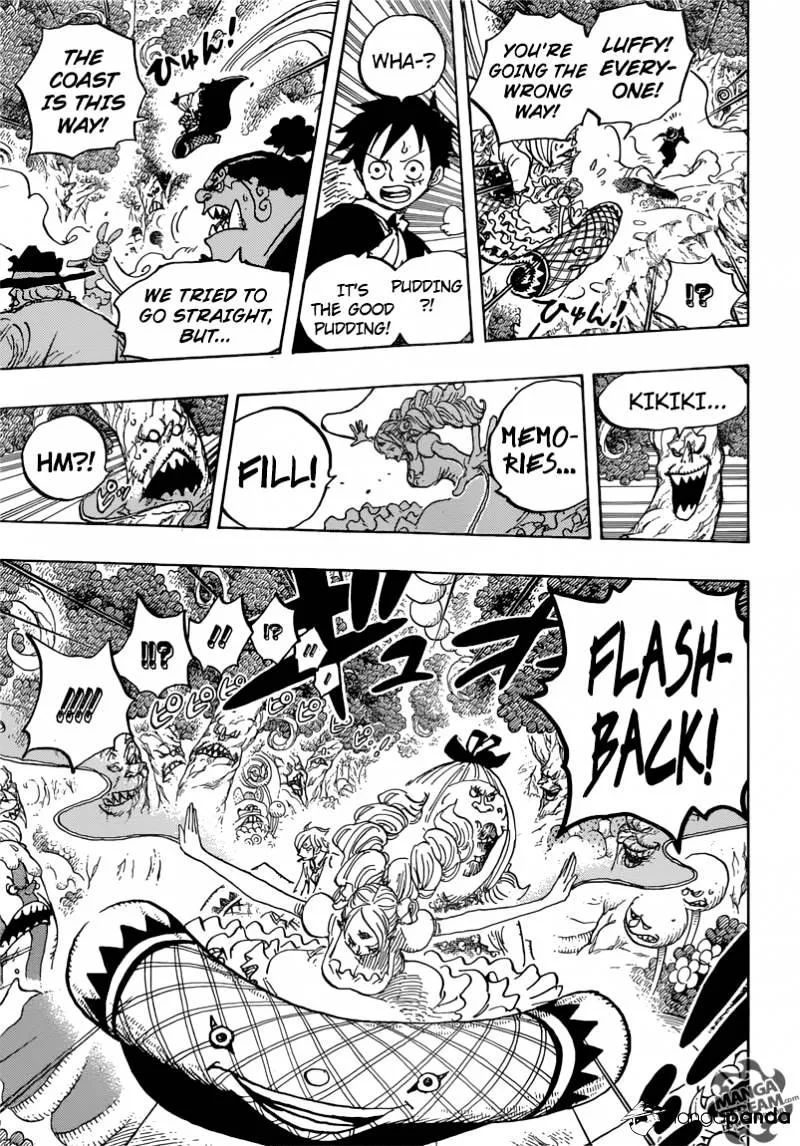 One Piece Chapter 876 page 14